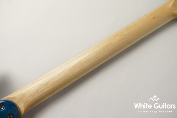 GRACE-FT FM SSH/RL - STB